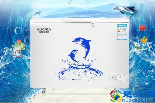  澳柯玛冰柜怎么样（澳柯玛冰柜质量和价格）