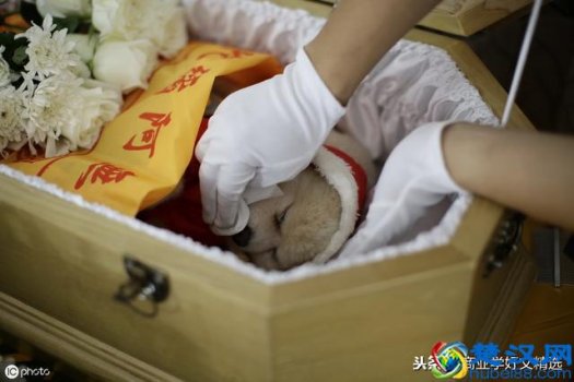  做什么生意一年可以赚三十万，空手套白狼的生意！