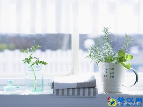  循规蹈矩什么意思（什么样是循规蹈矩）