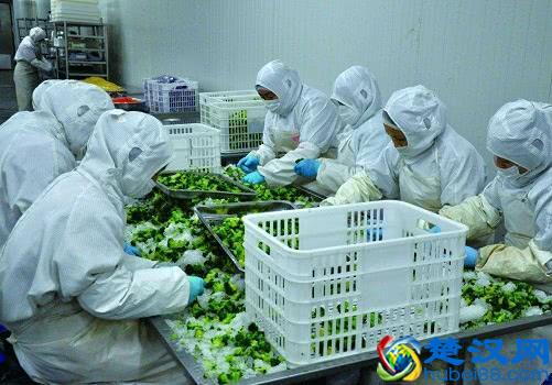 现在做什么生意好做(适合女人做的小本经营项目)