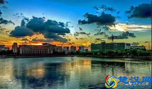 大学文科专业哪些好(哪些大学文科专业最受欢迎)