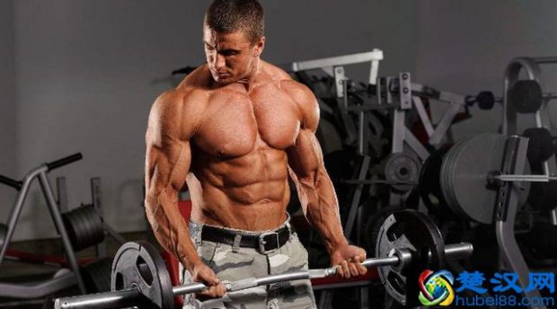  腹肌怎么练最有效果（快速有效的练肌肉的方法）