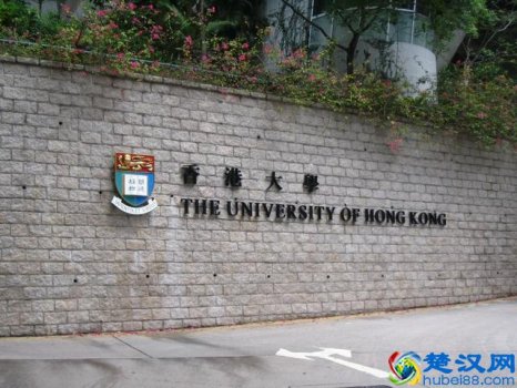 香港大学研究生申请条件有哪些(香港大学研究生申请难度大不大)