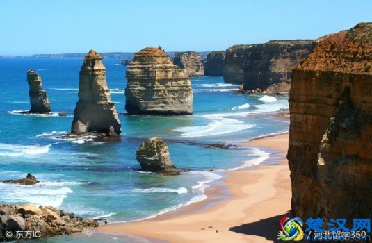 墨尔本大学专业有哪些(墨尔本大学留学读什么专业好)