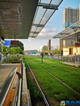 2019qs世界大学学科排名(学科排名前十位的高校是哪些)