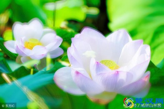 沾沾自喜是什么意思?是贬义词吗