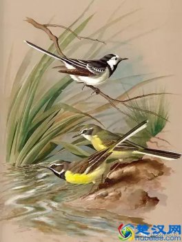  怎么锻炼肺活量唱歌（练肺活量的中文歌）