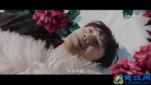  藏海花吧，藏海花小说南派三叔