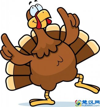  turkey怎么读（TURKEY这个多义词）