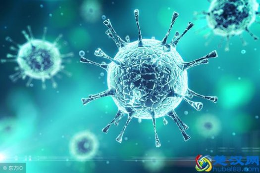  什么是疱疹（疱疹如何预防？）