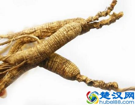  15年移山参价格，移山参13克价格多少钱