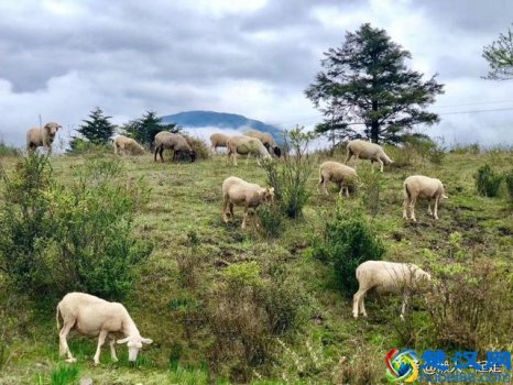  成都周边有什么好玩的地方（成都周边游一天来回的景点有哪些地方好玩）