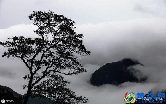  怎么打书名号（标点符号的用法）