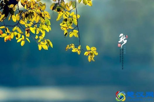  淡然的意思（淡然是生命中一道靓丽的风景）