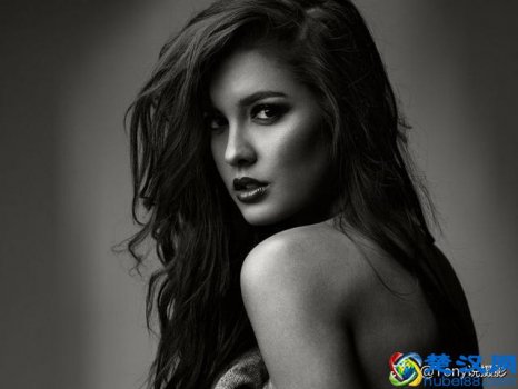  mf什么意思（单反摄影说的AF-S、AF-C、AF-A和MF是什么）