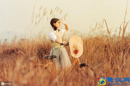  潜能测评简介及能力预测（你的观察和判断能力怎么样）