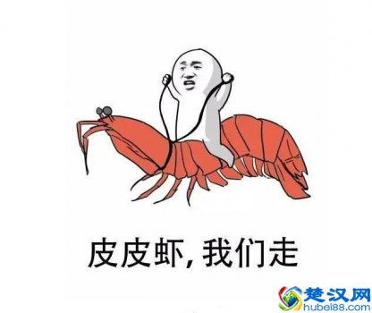  网上流行语大全及利弊（十大网络流行语出炉）