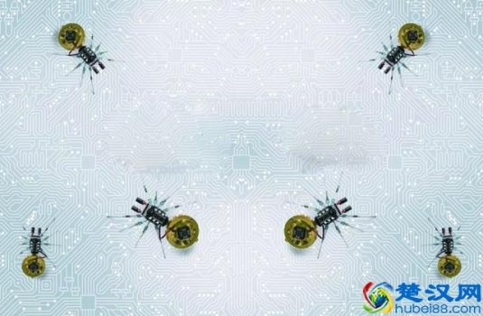  纳米技术在日常生活中的应用有哪些（纳米技术走进生活）