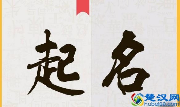  淘宝店铺名称怎么起（达人教你起名诀窍和注意事项）