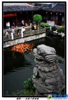  什么是微距镜头以及使用技巧（微距镜头选购技巧）