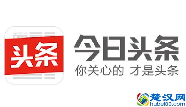  僵尸粉是什么意思（微信一键清死粉免费版）