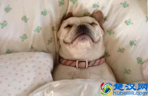  和朋友合开什么店好（和人合伙开店好不好）