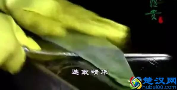  法兰琳卡的芦荟胶含量（每天用芦荟胶的危害）