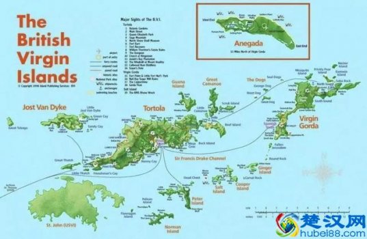  离岸公司如何在国内经营（离岸公司在中国经商是否需要缴税）