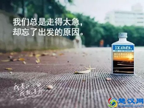 经典广告文案赏析大全(盘点十大经典广告的童星现状)