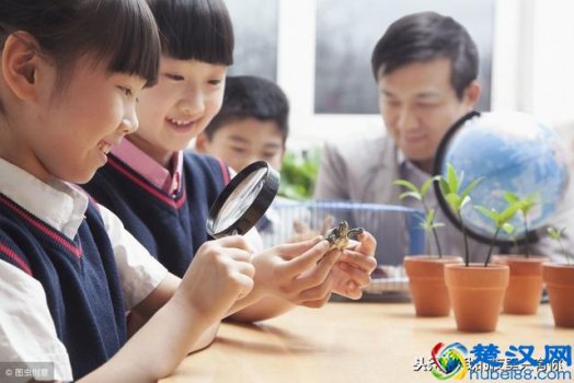  课外阅读赏析怎么写（课外阅读的方法与技巧）