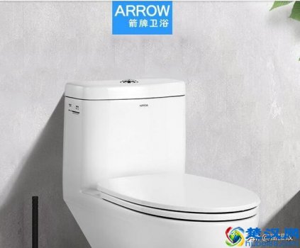  宾利与箭牌马桶怎么样（宾利2921马桶价位多少）