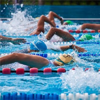  仰泳的动作要领（仰泳的动作要领以及注意事项）