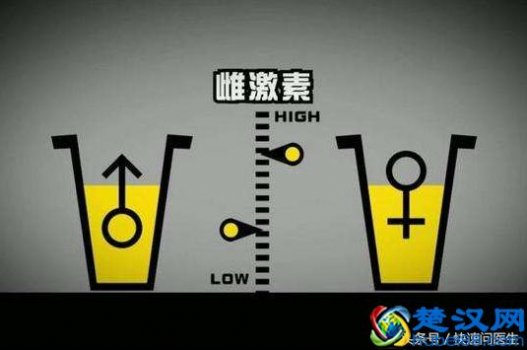  雌激素是什么（雌激素检查的最佳时间）