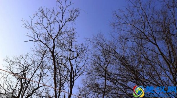  爱莫能助是什么意思（有一种关心，叫爱莫能助）