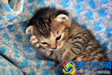  头晕是怎么回事（或许是这8种疾病的征兆！）