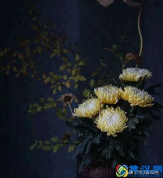  物以类聚人以群分什么意思（物以类聚，人以群分）