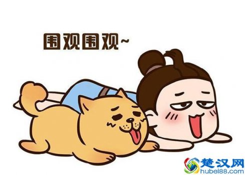  服务基层项目人员（什么是服务基层“四个项目”人员）