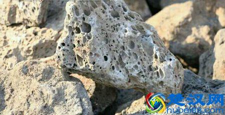 浮石是什么(中药海浮石就是浮在海上的石头吗)