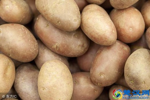  一岁半宝宝食谱大全及做法大全！