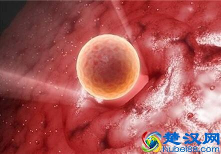  排卵期有几天，都有什么症状！