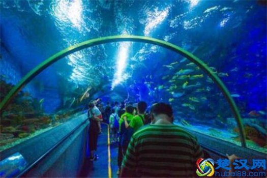  大连有什么好玩的（大连十大最好玩的旅游景点）