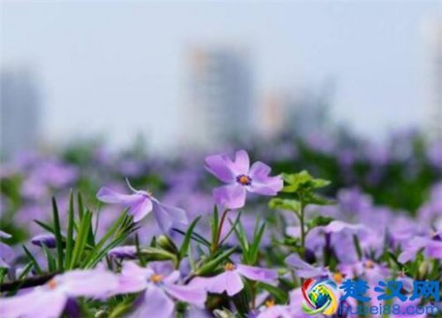  个人创业（2019年个人创业干点啥好呢）