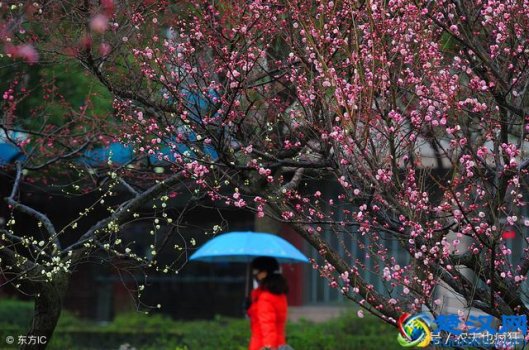  2019立春是什么意思？