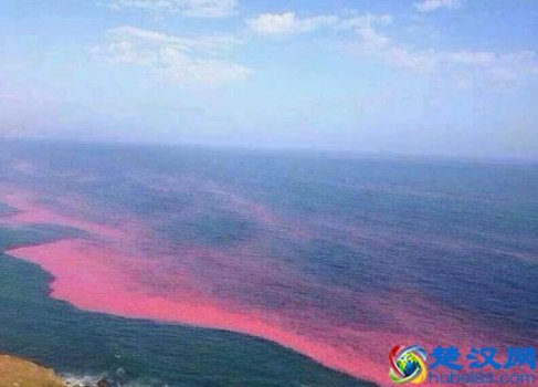 什么是赤潮灾害?赤潮怎么防治?