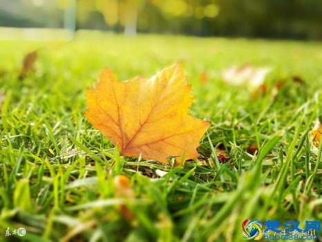  生活拮据让你看懂了什么是生活？什么是现实