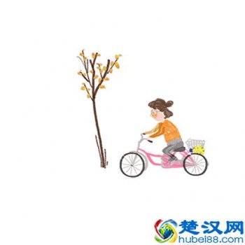 海绵体是什么东西(海绵体有什么作用)