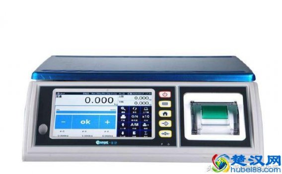  电子秤什么牌子好（电子秤的类型及选购技巧）