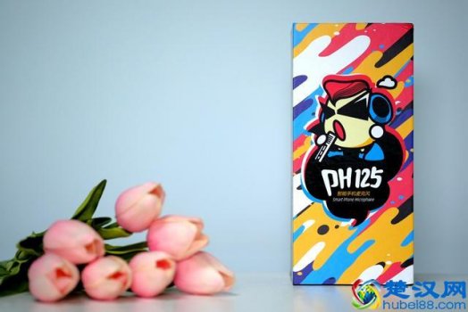  得胜麦克风怎么样（得胜麦克风配什么电子话放器）