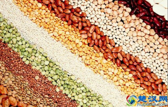  五谷中的菽是指什么（中国历史上的五谷到底指的是）