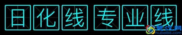  日化线（日化线vs专业线）